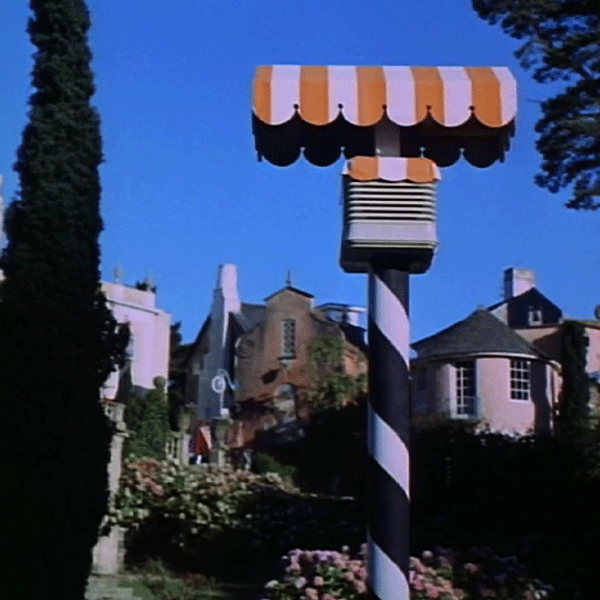 It’s Another Beautiful Day, Here in The Village!!
