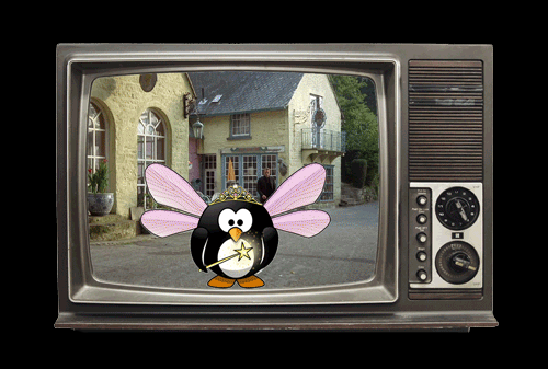 Puffin Fairies Invade The Village