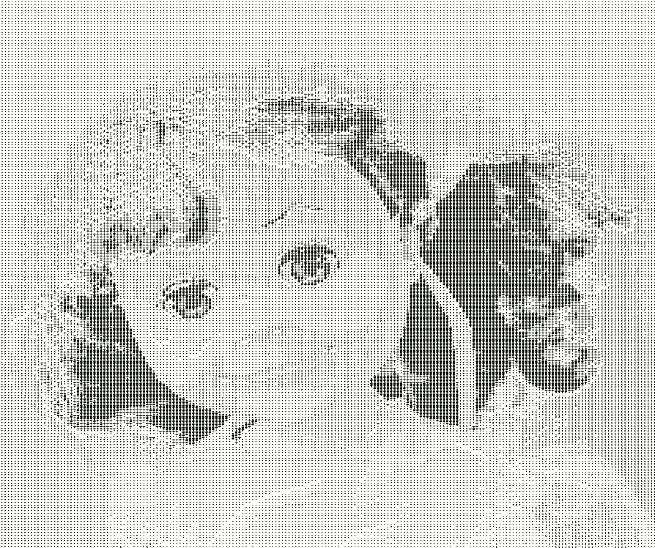 Who’s Two? GIF